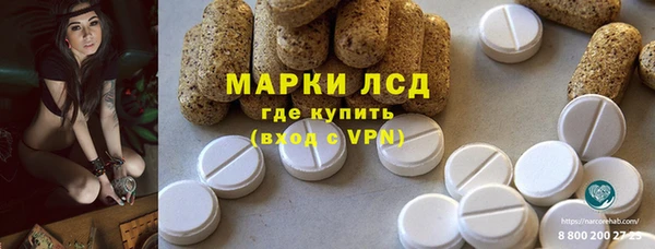 стаф Алзамай