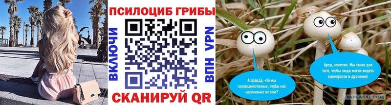 Галлюциногенные грибы Magic Shrooms  где найти наркотики  MEGA сайт  Рубцовск 