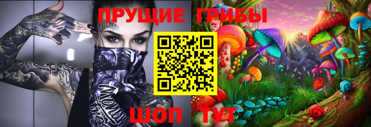 Галлюциногенные грибы Psilocybine cubensis  Вход с VPN  Рубцовск 